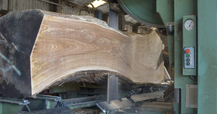 El castaño, primera madera noble española con clasificación para uso estructural 